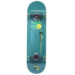Skateboard GF3108A Green Nils