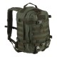 Set Wisport Rucksack Sparrow II 30 L Olivgrün + Glasfiber