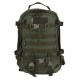 Set Wisport Rucksack Sparrow II 30 L Olivgrün + Glasfiber