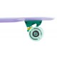 Skateboard Pennyboard Pastel Nils