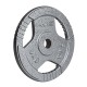 Hammerschlag-lackierte Hantelscheibe TH5 mit drei Eingriffen