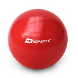 Gymnastikball mit Pumpe 65 cm Hop Sport